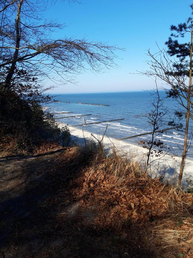 Bungalow Usedom Koserow Exteriör bild